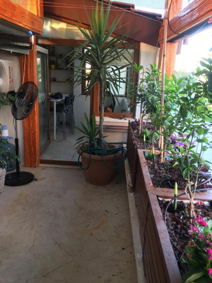 安塔利亚Orange Garden公寓 外观 照片