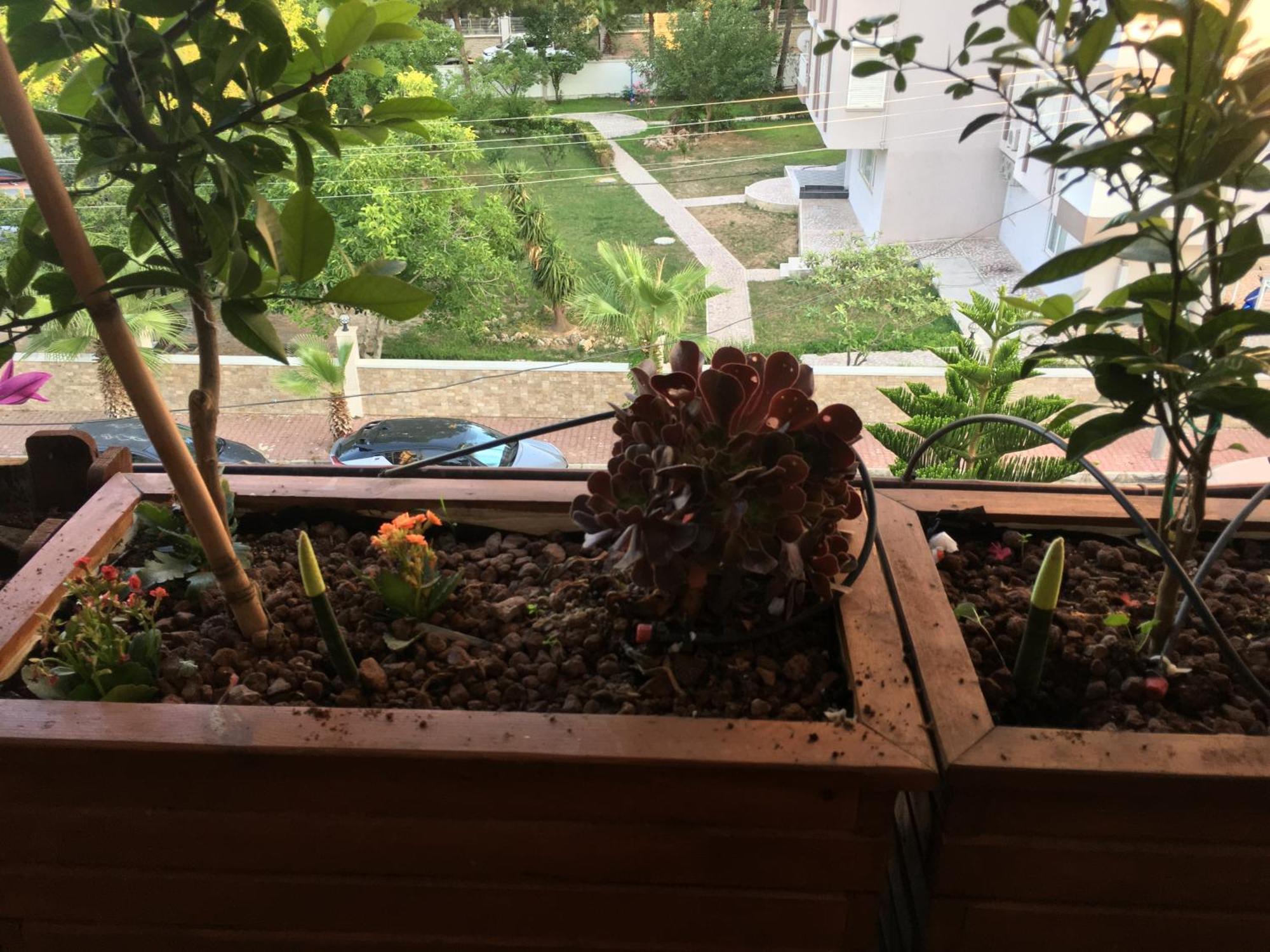 安塔利亚Orange Garden公寓 外观 照片