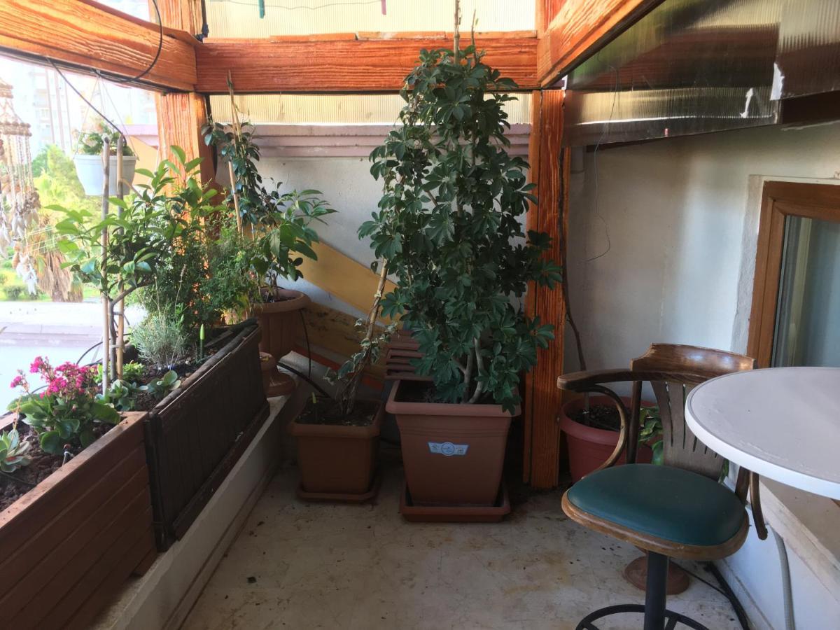 安塔利亚Orange Garden公寓 外观 照片