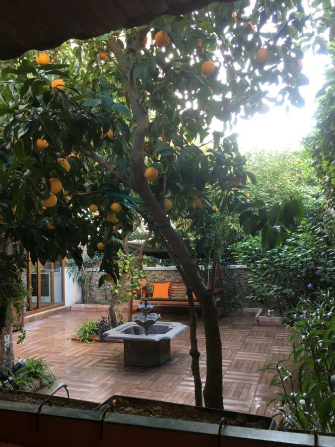 安塔利亚Orange Garden公寓 外观 照片